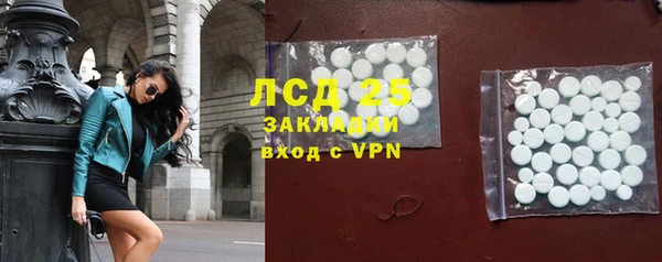 гидра Абаза