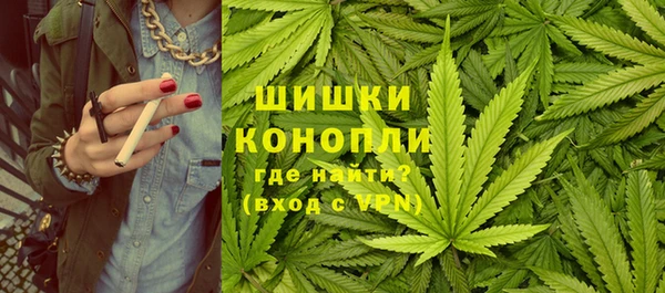 гидра Абаза