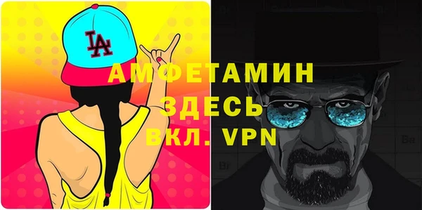 гидра Абаза