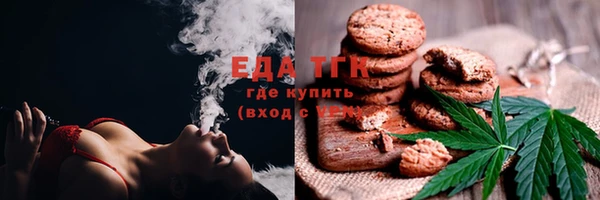 гидра Абаза