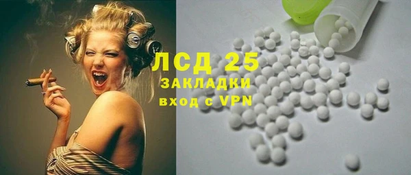 гидра Абаза