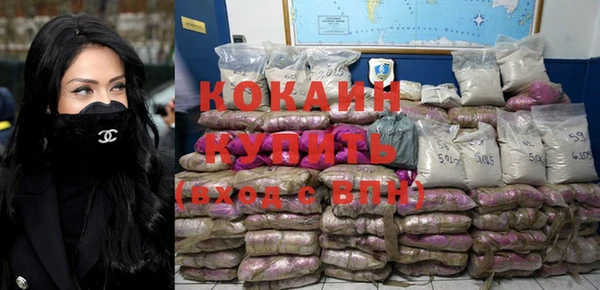 гидра Абаза
