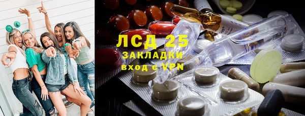 гидра Абаза