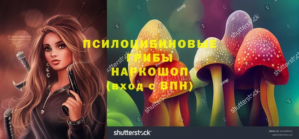 гидра Абаза