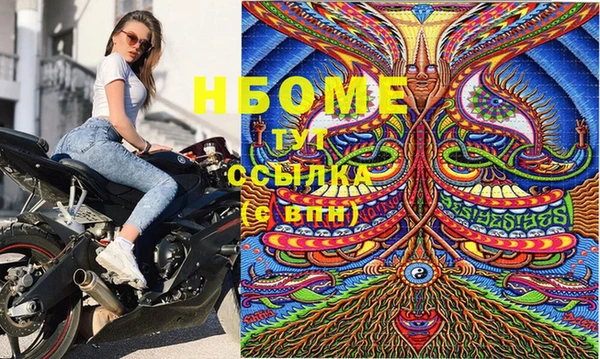 гидра Абаза