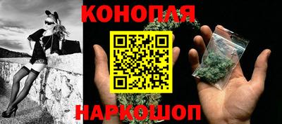 шишки Обь