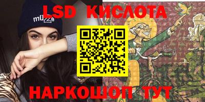 шишки Обь