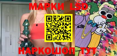 шишки Обь