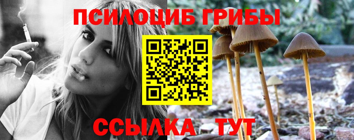 Холмск  Галлюциногенные грибы ЛСД  как найти   Вход с VPN 