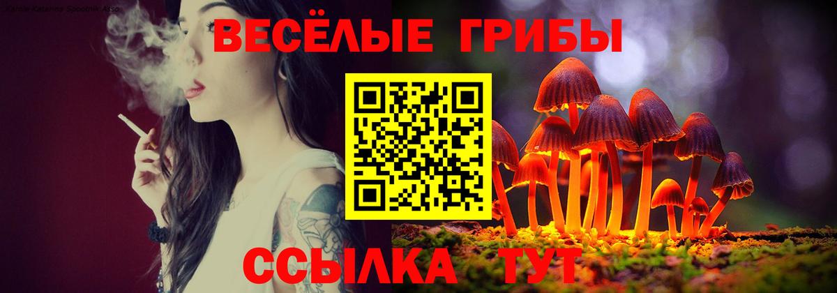 Галлюциногенные грибы Psilocybe Холмск